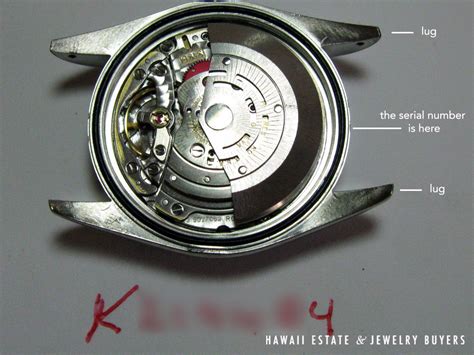 rolex random serial year|Rolex serial number by year.